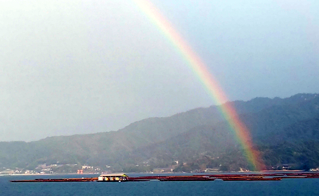 宮島に虹がかかりました。
